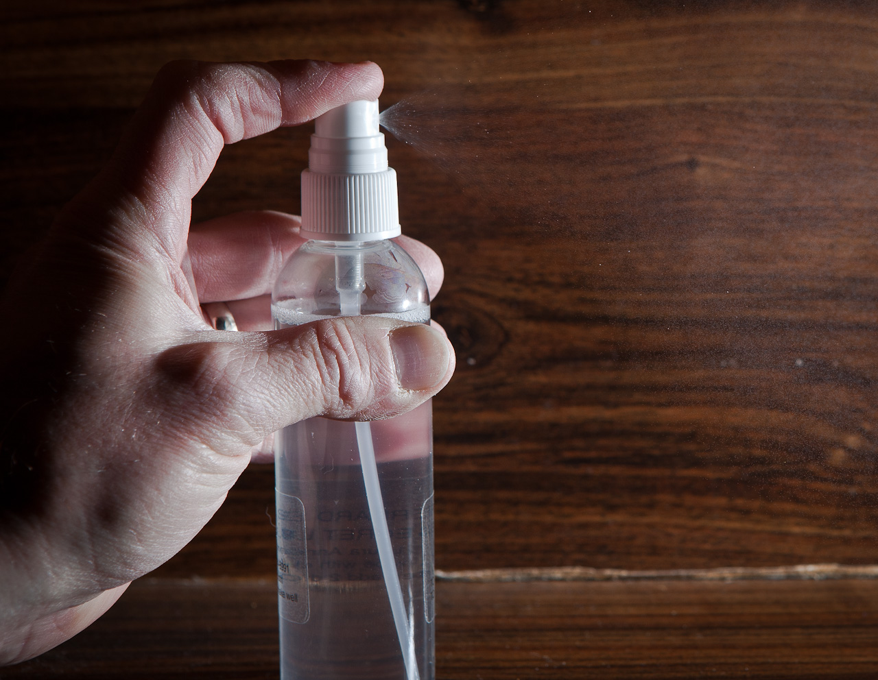 soap and water spray for ants