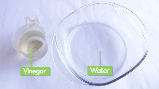 vinegar and water bait for ants