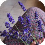 1 Cup Dried Lavender