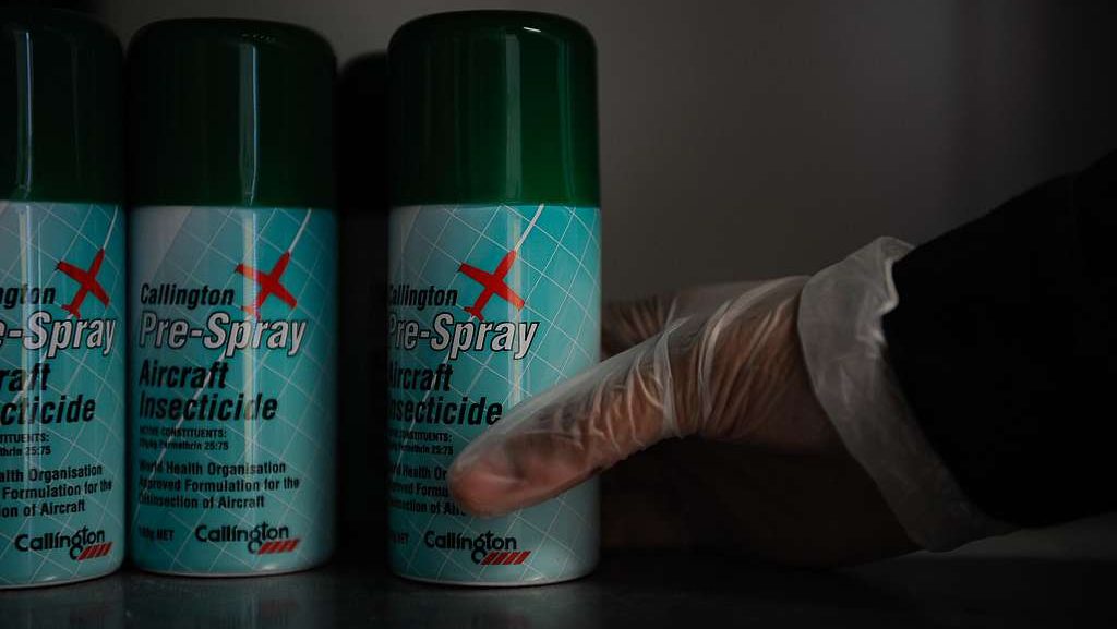 Aerosol Insecticide Spray