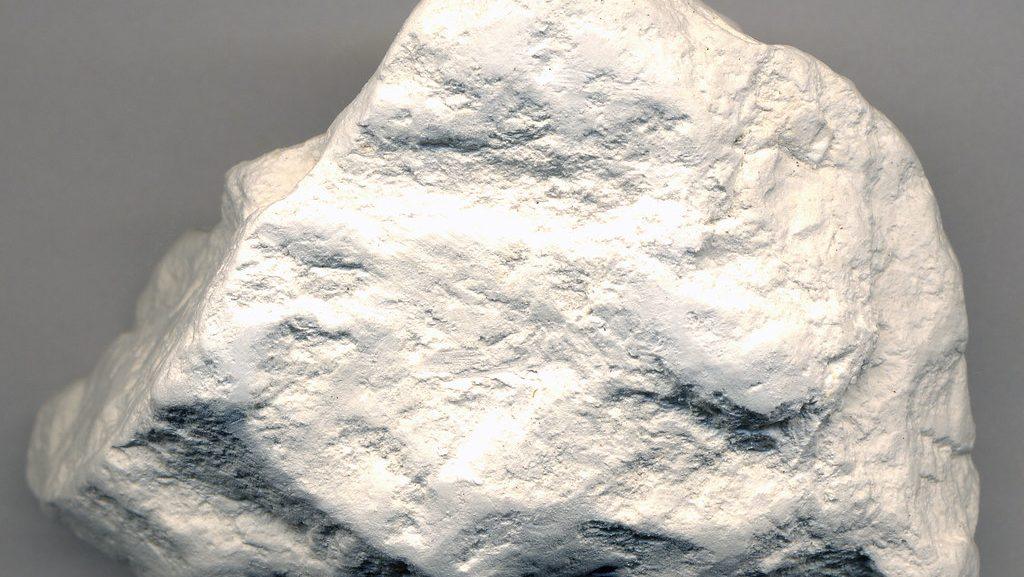 diatomaceous earth