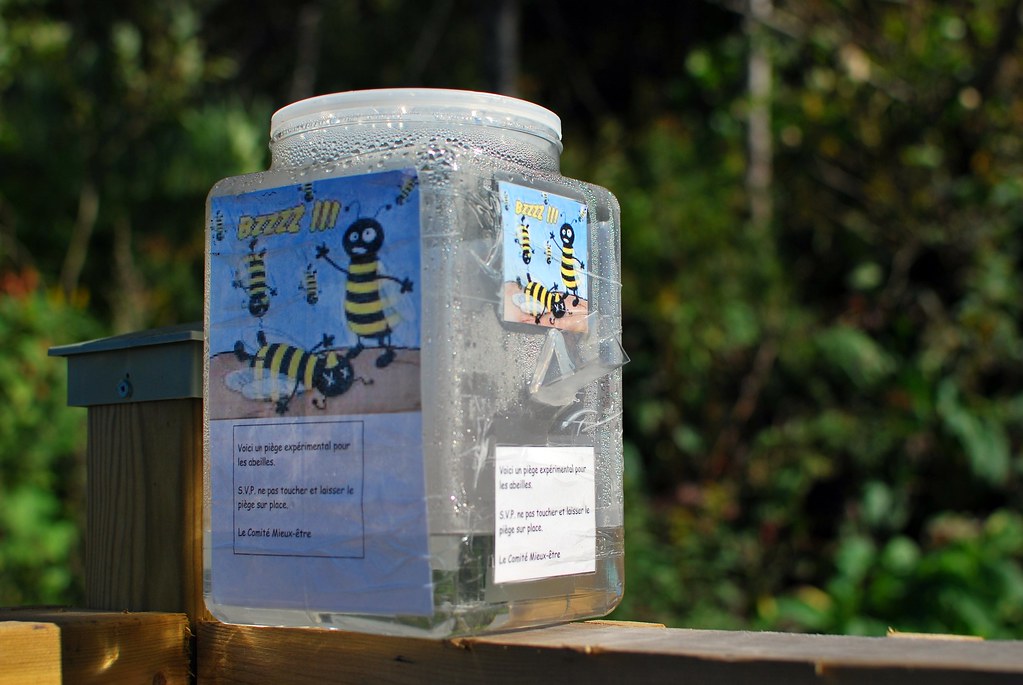 DIY Bee Trap