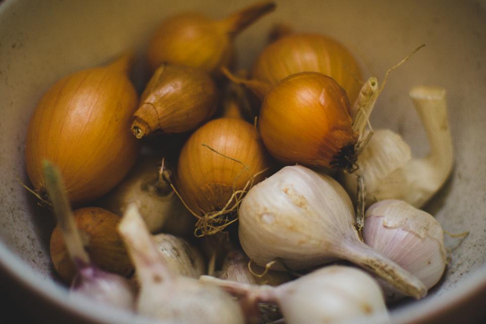 garlic for pest control