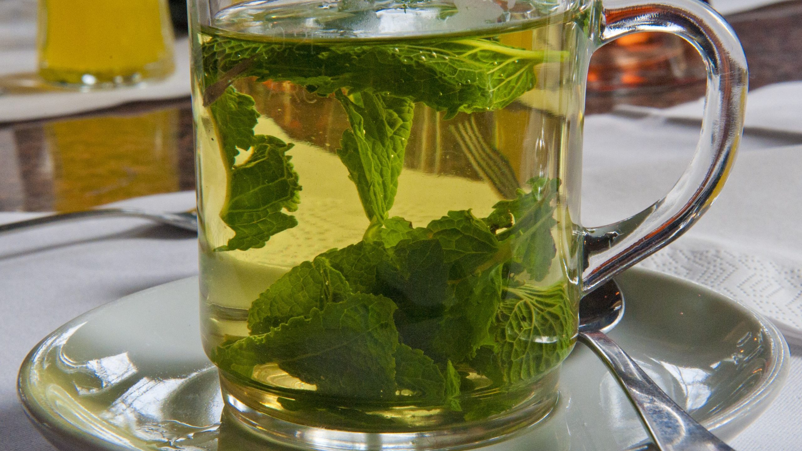 Peppermint Oil Spray
