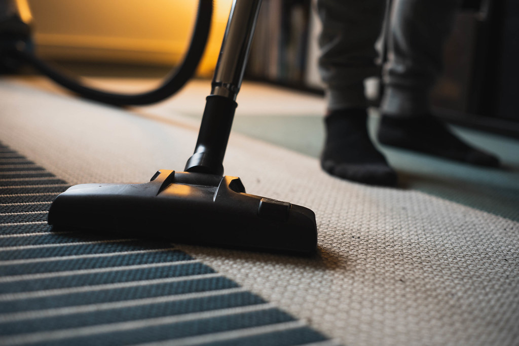 vacuuming for pest control