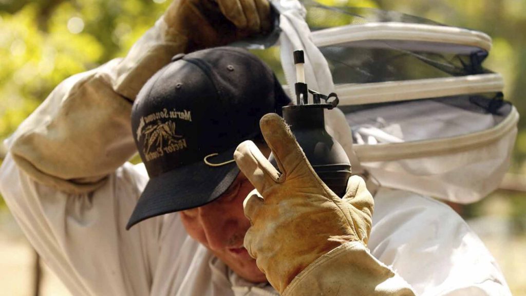 dust injection for yellowjacket