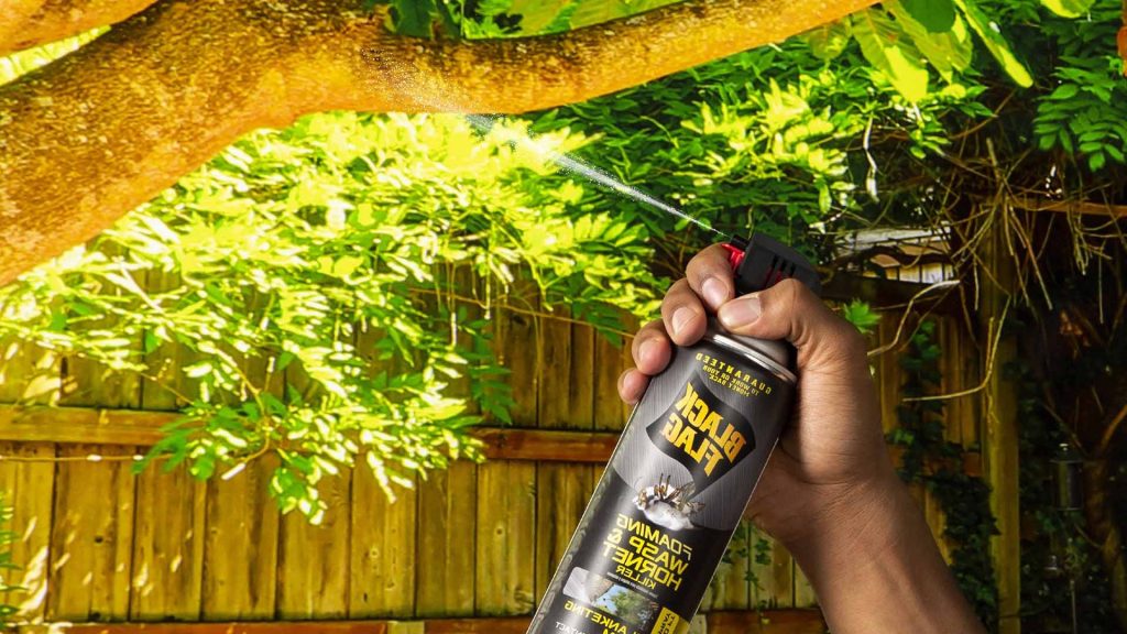 wasps spray treatment