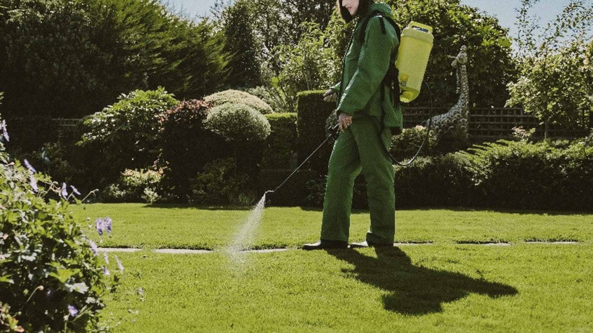 Professional Pest Control