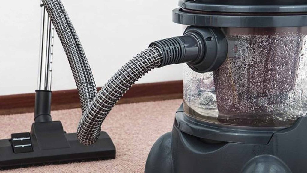 vacuum for beetles