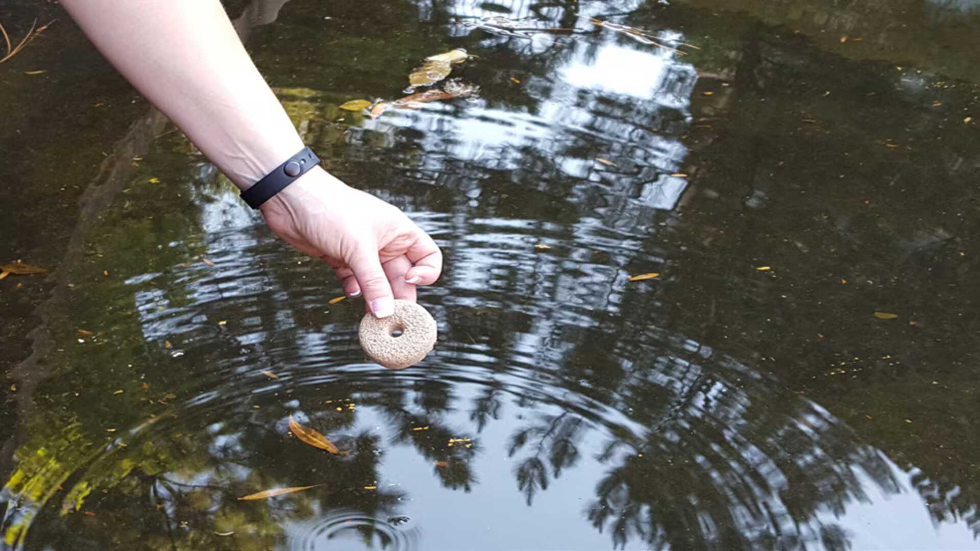 Standing Water