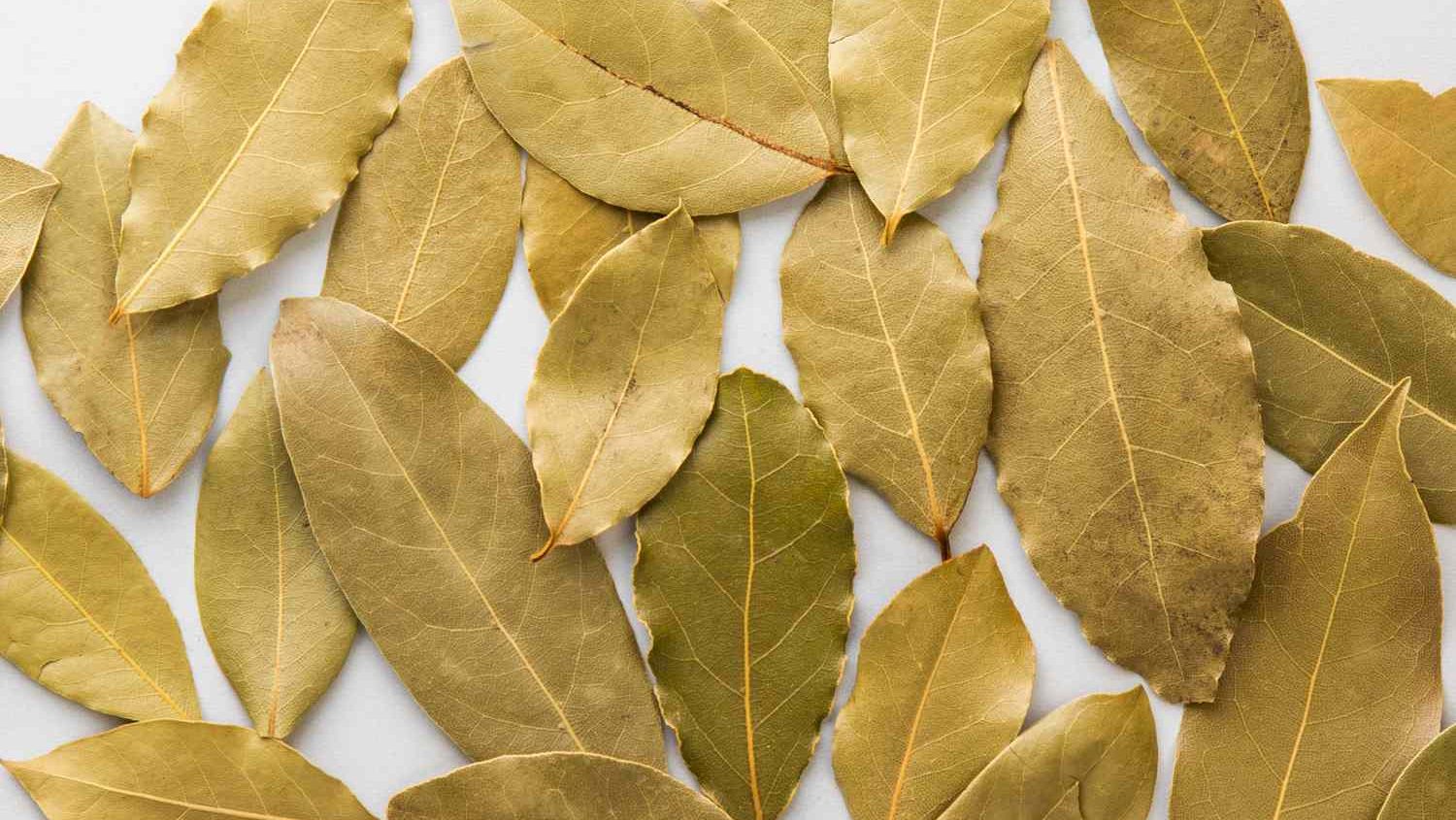 3. Bay Leaf Repellent