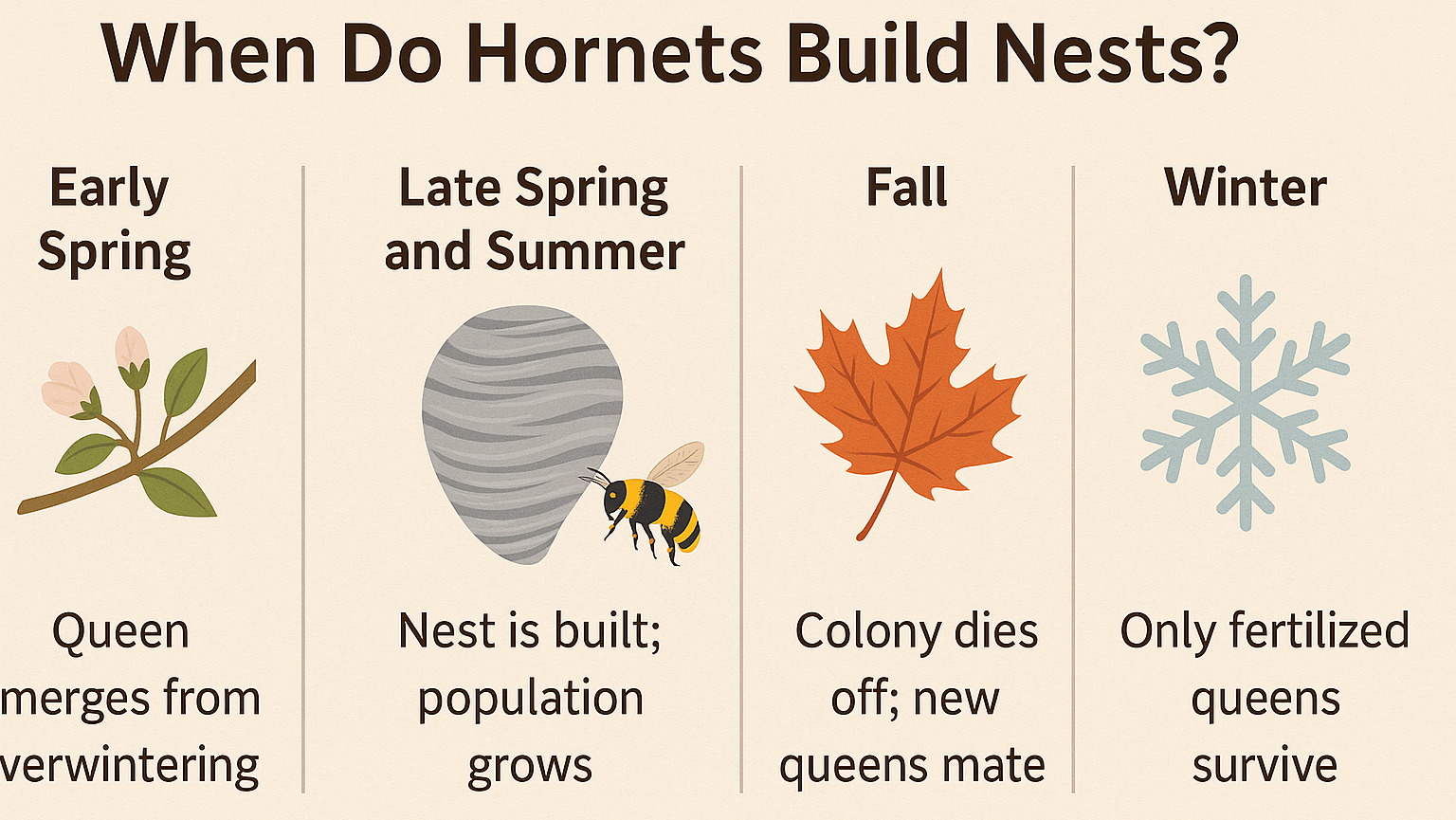When Do Hornets Build Nests